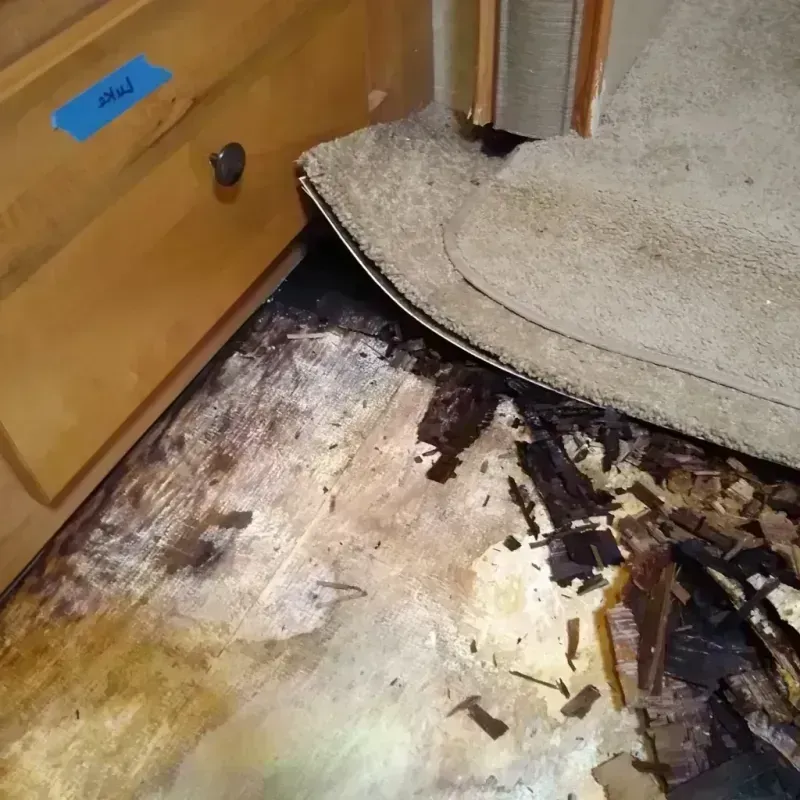 Wood Floor Water Damage in Salem County, NJ